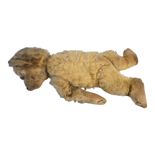 311A - AN EARLY 20TH CENTURY PLUSH MOHAIR TEDDY BEAR
Having glass eyes, elongated nose and arms.
(approx 41... 