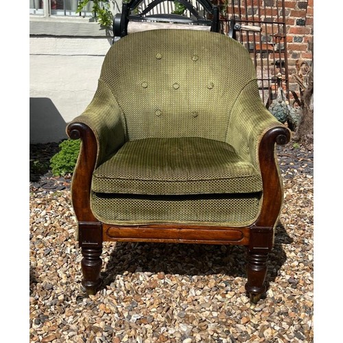 579 - A WILLIAM IV/ EARLY VICTORIAN MAHOGANY SHOW WOOD TUB ARMCHAIR
In pale green cut velvet upholstery, s... 