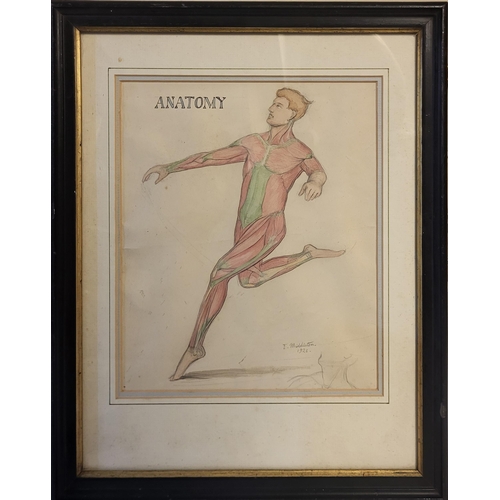 544 - A SET OF THREE EARLY 20TH CENTURY WATERCOLOUR AND PENCIL ‘ANATOMICAL’ STUDIES
Male athletes showing ... 