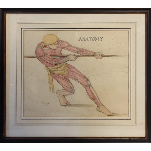 544 - A SET OF THREE EARLY 20TH CENTURY WATERCOLOUR AND PENCIL ‘ANATOMICAL’ STUDIES
Male athletes showing ... 