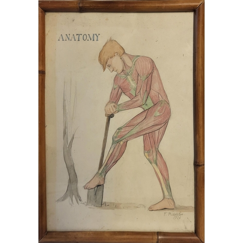 544 - A SET OF THREE EARLY 20TH CENTURY WATERCOLOUR AND PENCIL ‘ANATOMICAL’ STUDIES
Male athletes showing ... 