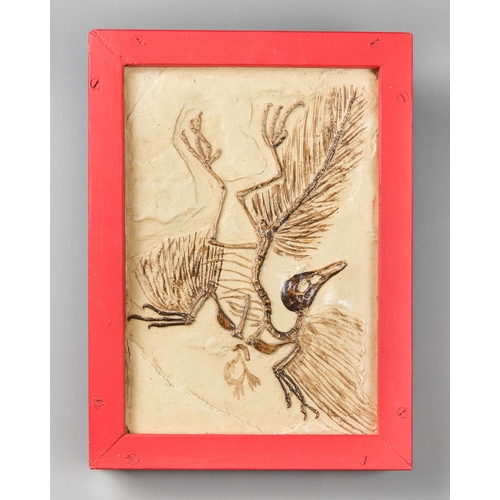 196 - A MUSEUM REPLICA OF AN ARCHAEOPTERYX DINOSAUR PLAQUE.
(h 34.5cm x w 25.5cm)