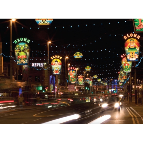 27 - A DOUBLE-SIDED BLACKPOOL ILLUMINATIONS ALOHA LIGHT.

(h 112cm x w 113cm x d 27cm)

Provenance: From ... 