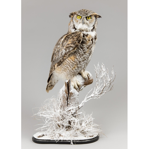 281 - A LATE 20TH CENTURY TAXIDERMY GREAT HORNED OWL UPON A NATURALIST BASE (BUBO VIRGINIANUS).
Tundra/lig... 