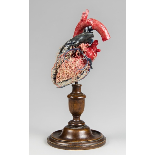 40 - A FINE AND HIGHLY DETAILED CORROSION CAST HEART WAX MODEL.
(h 31cm x w 15cm x d 14.5cm)