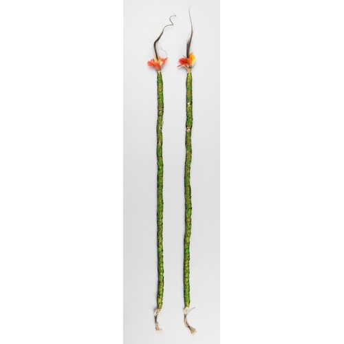 57 - A PAIR OF 18TH CENTURY GREEN BEETLE EARRINGS, JIVARO PEOPLE.

Length 100cm. Previously attached to a... 