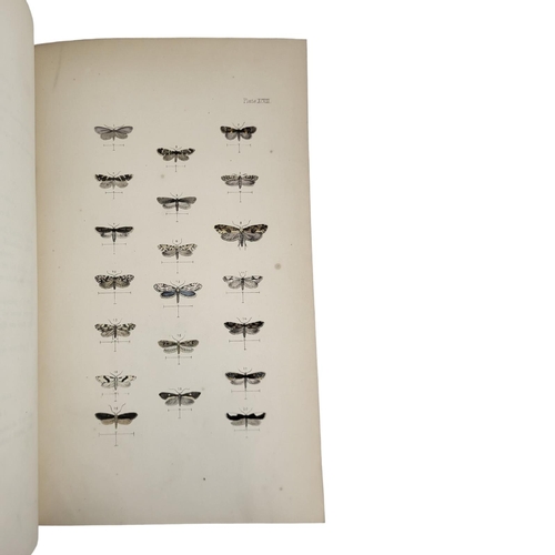 401 - MORRIS (REV F.O.), A NATURAL HISTORY OF BRITISH MOTHS, LONDON, 1872, FOUR VOLS
London, Bell & Daldy,... 