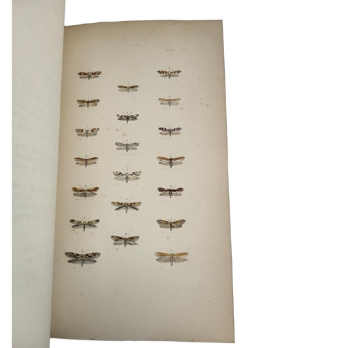 401 - MORRIS (REV F.O.), A NATURAL HISTORY OF BRITISH MOTHS, LONDON, 1872, FOUR VOLS
London, Bell & Daldy,... 