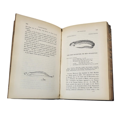 404 - WILLIAM YARREL, HISTORY OF BRITISH FISHES, FIRST EDITION, LONDON, JOHN VAN VOORST, 1836
Illustrated ... 