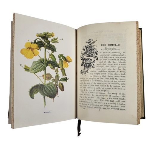 412 - BOTANY-HULME, FAMILIAR WILD FLOWERS, LONDON: CASSELL & COMPANY LTD, CIRCA 1880, FOUR VOLS
Series 1-5... 