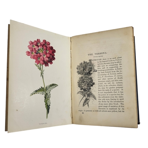 412 - BOTANY-HULME, FAMILIAR WILD FLOWERS, LONDON: CASSELL & COMPANY LTD, CIRCA 1880, FOUR VOLS
Series 1-5... 