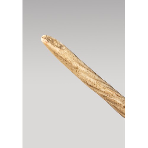 213 - A LATE 19TH CENTURY NARWHAL TUSK (MONODON MONOCEROS).
Mounted upon a custom stand. Tusk (215cm). Con... 