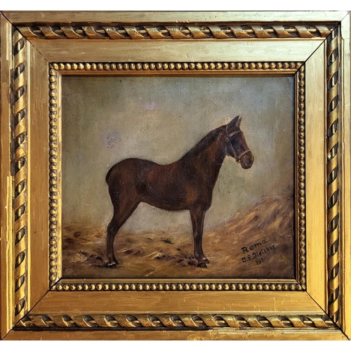 302 - AN EARLY 20TH CENTURY OIL ON CANVAS, EQUESTRIAN SCENE
Titled ‘Roma’, standing brown horse in a stabl... 