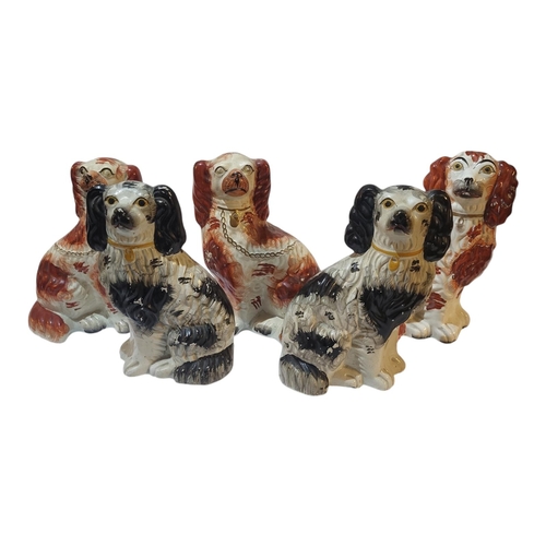 366 - A PAIR OF VICTORIAN STAFFORDSHIRE POTTERY MODELS OF SEATED SPANIELS
Painted features and faces, gilt... 