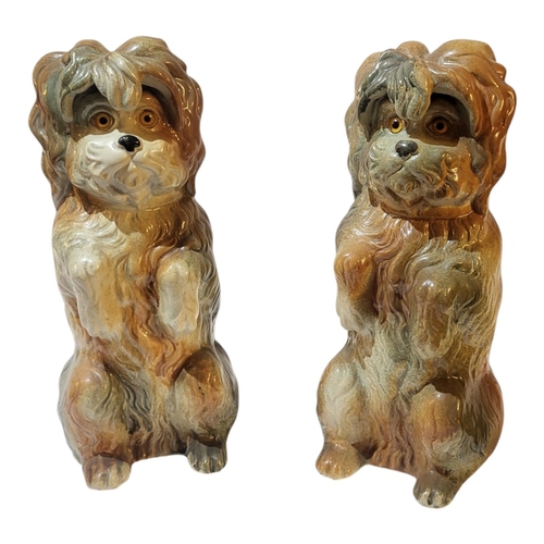 367 - A PAIR OF EARLY 20TH CENTURY STAFFORDSHIRE POTTERY MODELS OF BOLOGNESE TERRIERS
Both seated position... 