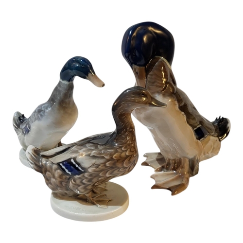 369 - W. ZUGEL FOR ROSENTHAL TWO HARD PASTE PORCELAIN MODELS OF WILD DUCKS
Both bearing impressed signatur... 