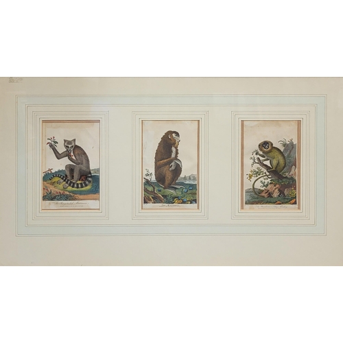 86 - JOHN PASS, ENGLISH, 1783 - 1832), AFTER JOHANN JAKOB IHLE
Group of three coloured copper engravings ... 