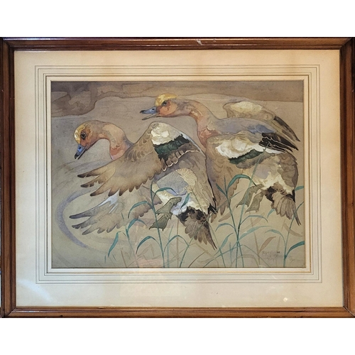 11 - RALSTON GUDGEON, 1910 - 1984, SCOTTISH SCHOOL, AN EARLY 20TH CENTURY WATERCOLOUR
Mallard duck in nat... 