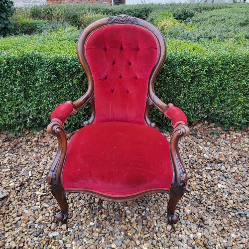 312 - A VICTORIAN MAHOGANY SPOON BACK OPEN ARMCHAIR
In red velvet button back upholstery and scroll arms, ... 