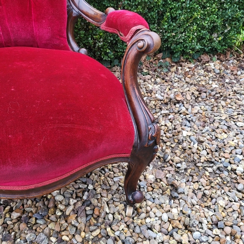 312 - A VICTORIAN MAHOGANY SPOON BACK OPEN ARMCHAIR
In red velvet button back upholstery and scroll arms, ... 