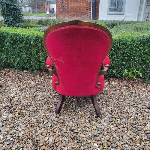 312 - A VICTORIAN MAHOGANY SPOON BACK OPEN ARMCHAIR
In red velvet button back upholstery and scroll arms, ... 