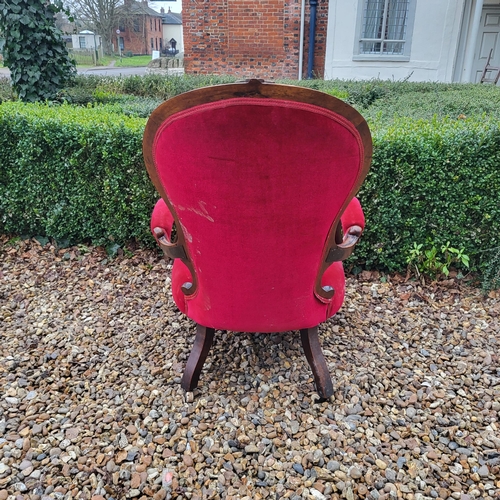 312 - A VICTORIAN MAHOGANY SPOON BACK OPEN ARMCHAIR
In red velvet button back upholstery and scroll arms, ... 