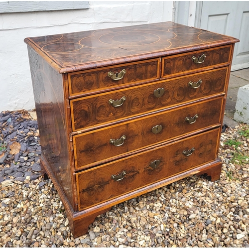 319 - AN EARLY 18TH CENTURY OLIVE WOOD AND LINE INLAID OYSTER VENEERED CHEST
Of two short above three long... 