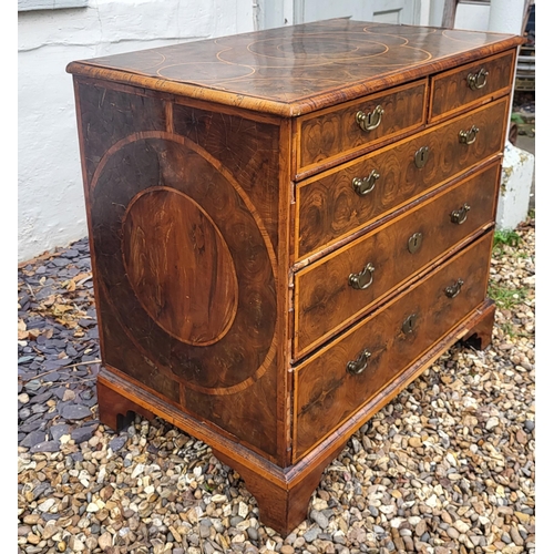 319 - AN EARLY 18TH CENTURY OLIVE WOOD AND LINE INLAID OYSTER VENEERED CHEST
Of two short above three long... 