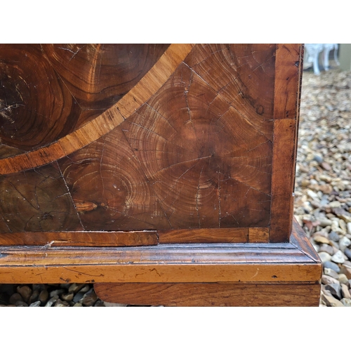 319 - AN EARLY 18TH CENTURY OLIVE WOOD AND LINE INLAID OYSTER VENEERED CHEST
Of two short above three long... 