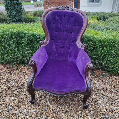 324 - A VICTORIAN MAHOGANY FRAMED SPOON BACK ARMCHAIR
In deep purple button back upholstery, scroll arm, o... 