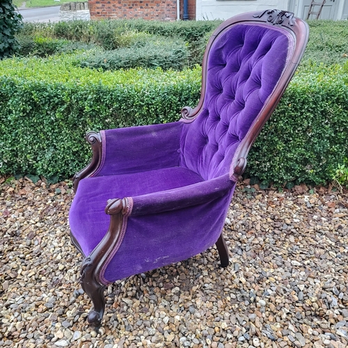 324 - A VICTORIAN MAHOGANY FRAMED SPOON BACK ARMCHAIR
In deep purple button back upholstery, scroll arm, o... 