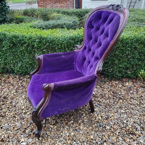 324 - A VICTORIAN MAHOGANY FRAMED SPOON BACK ARMCHAIR
In deep purple button back upholstery, scroll arm, o... 