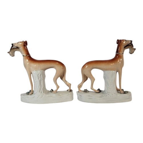 111 - A PAIR OF 19TH CENTURY STAFFORDSHIRE POTTERY WHIPPETS WITH RABBITS FIGURES
Standing pose with encrus... 