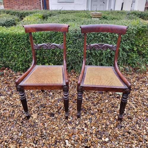 364 - A PAIR OF REGENCY PERIOD MAHOGANY STANDARD CHAIRS
With carved bar backs and caned seats, on turned a... 