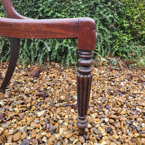 364 - A PAIR OF REGENCY PERIOD MAHOGANY STANDARD CHAIRS
With carved bar backs and caned seats, on turned a... 