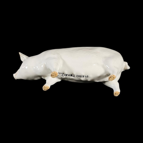 239 - BESWICK, A COLLECTION OF THREE ‘WALL CHAMPION BOY 53rd’ PORCELAIN PIGS
Middle White boars, model no.... 