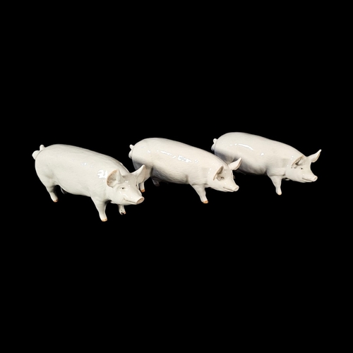 239 - BESWICK, A COLLECTION OF THREE ‘WALL CHAMPION BOY 53rd’ PORCELAIN PIGS
Middle White boars, model no.... 