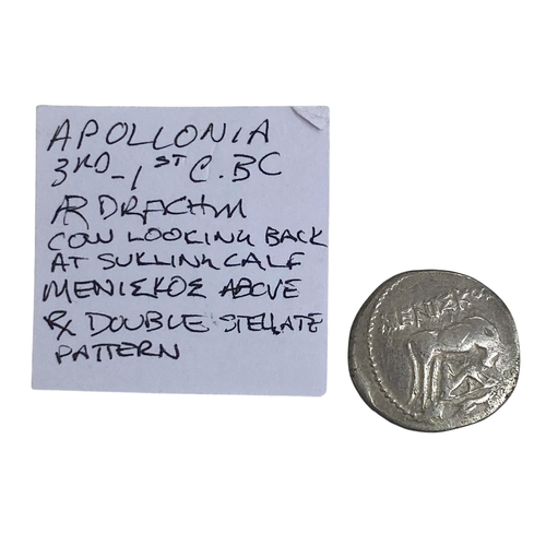 Apollonia III 1st CBC Ardrachm. Cow looking back at sucking calf ...