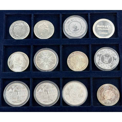 A collection of 12 x various 1 ounce .999 fine silver coins in ...