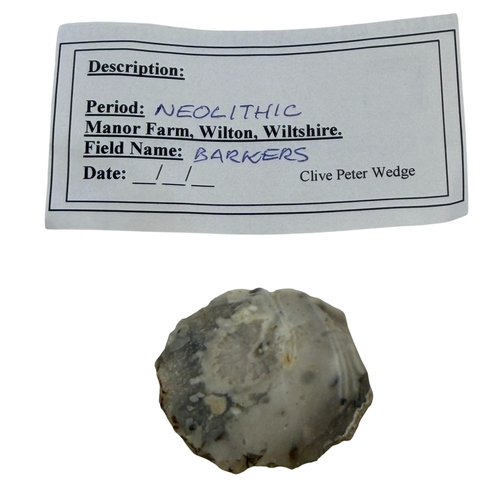 252 - Hoard of 15 x Neolithic Finds.