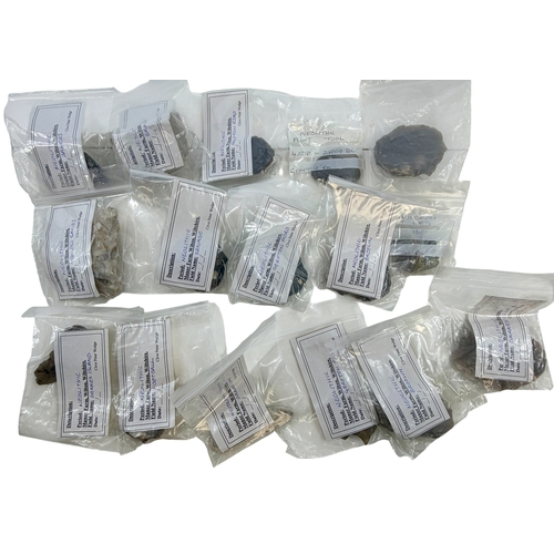 253 - Hoard of Neolithic finds x 16.