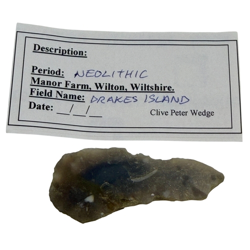 253 - Hoard of Neolithic finds x 16.