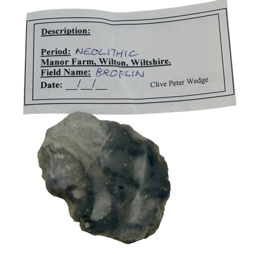 253 - Hoard of Neolithic finds x 16.