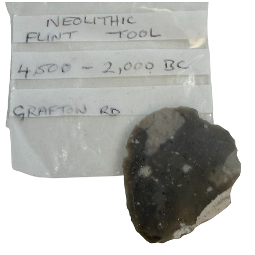 253 - Hoard of Neolithic finds x 16.