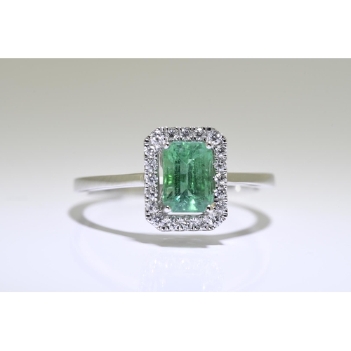 13 - Emerald & Diamond ring