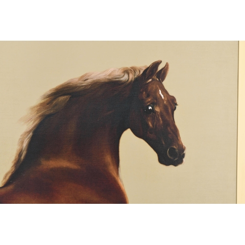 3 - Stunning 6ft x 5ft George Stubbs 