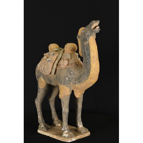 71 - Terracotta Camel Sculpture