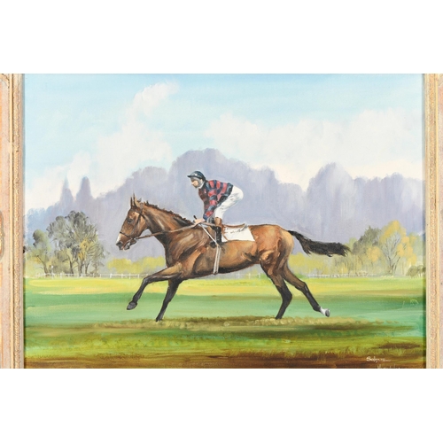 71 - Original Oil on Canvas of the Horse Solinus