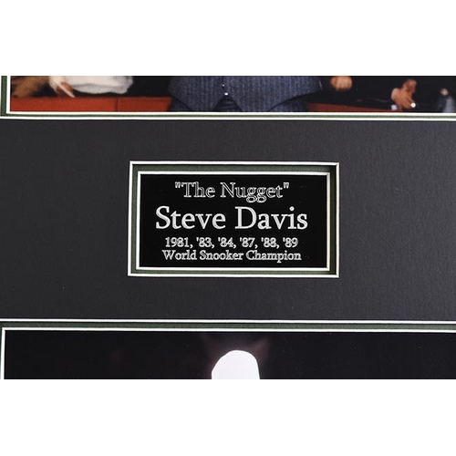 65 - Steve Davis Singed Snooker Cue