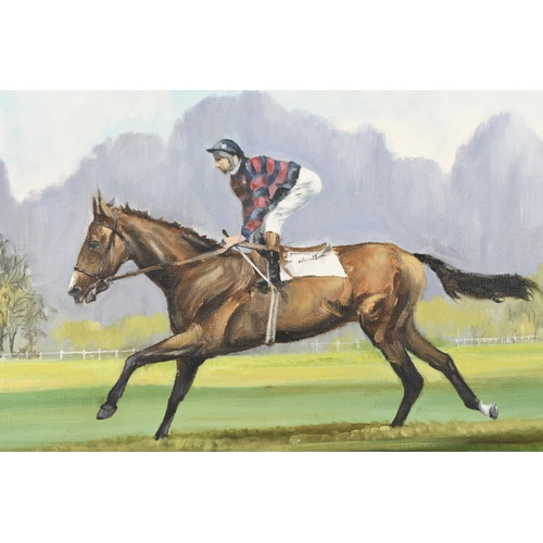 51 - Original Oil on Canvas of the Horse 